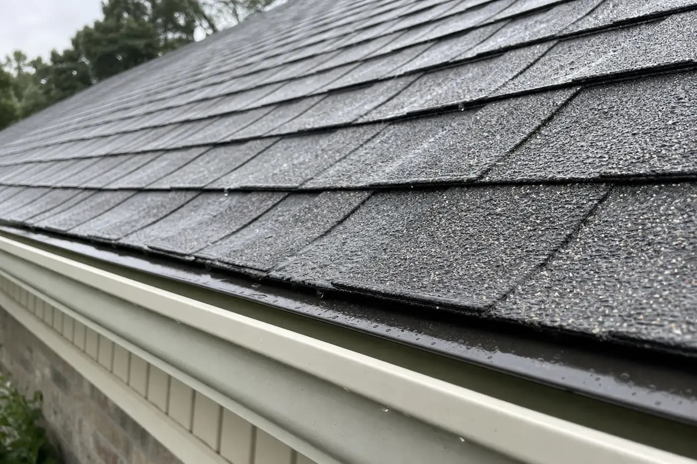 Indian Trail NC asphalt shingle roof edge after rain with drip edge and gutter line visible